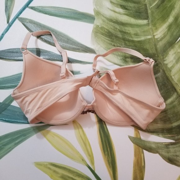 Gilligan & O’Malley Padded Bra 34C - Picture 5 of 7